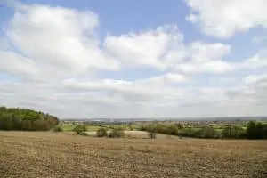 Fields Near Hinckley, Leicestershire
