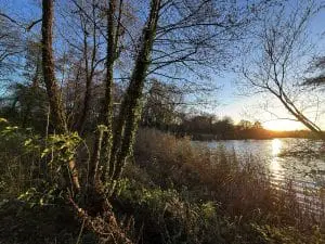 Redditch Country Park, Worcestershire